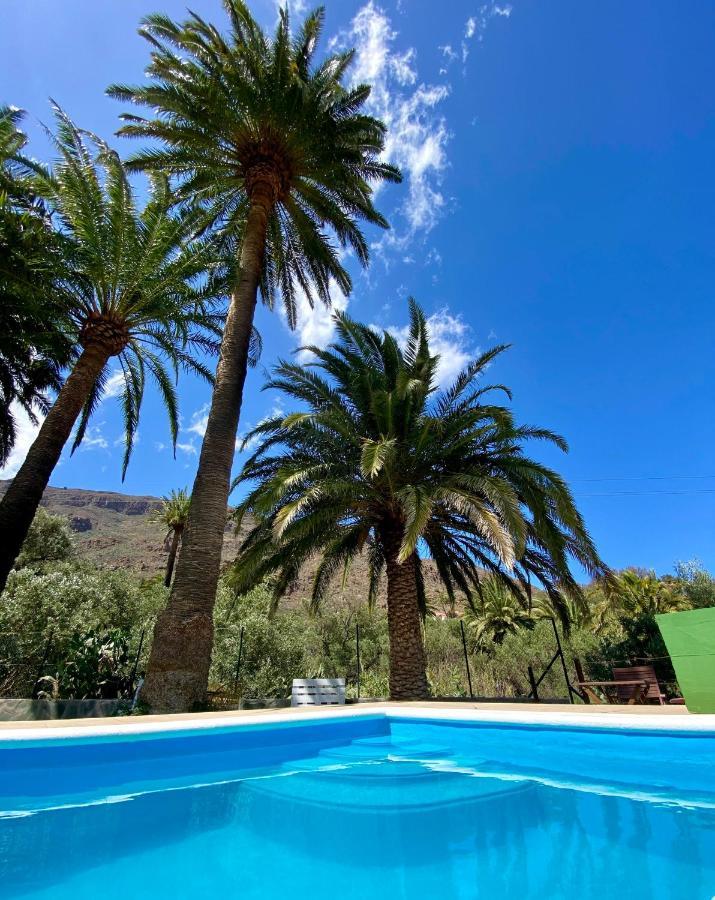 Casa vacanze Palmeras Temisas