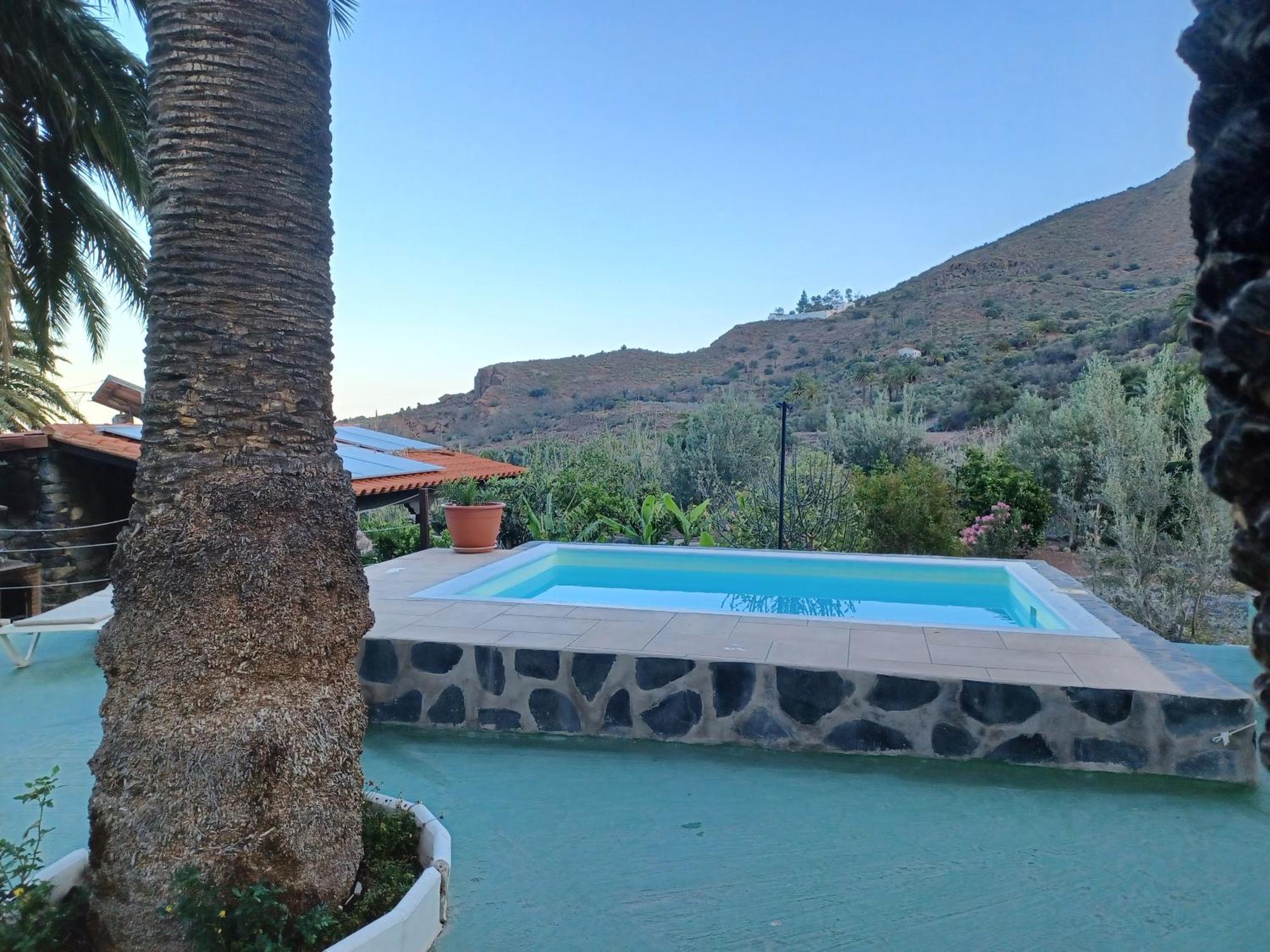 Palmeras Holiday home *